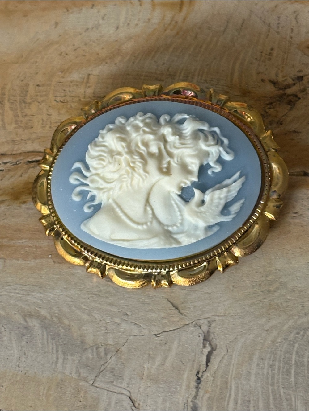 Classic Blue and Cream Cameo Brooch in Gold Frame
